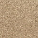 Beige Low-Pile Polyamide Rug – Michigan – close-up of the weave