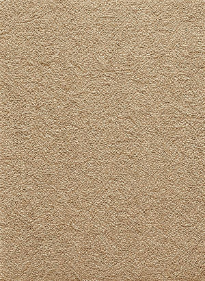 Tapis résistant au grand passage Uni Beige - Michigan (75x.., 80x.., 85x.., 140x200 et 155x265)
