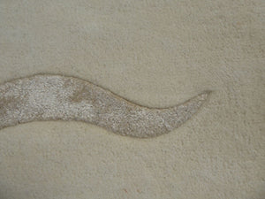 Tapis ivoire grand motif élégant